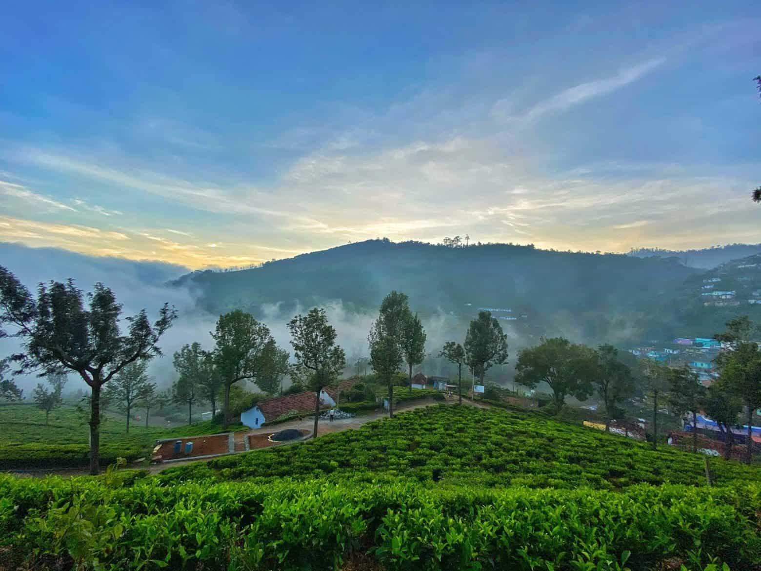 Monsoon Magic: Exploring Ooty from June to September 2025
