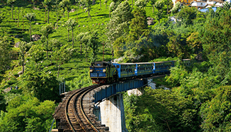 Ooty Tour Package smart holidays