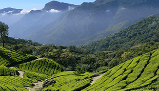Valparai Tour Package