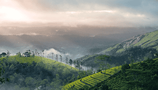 Munnar Tour Package days