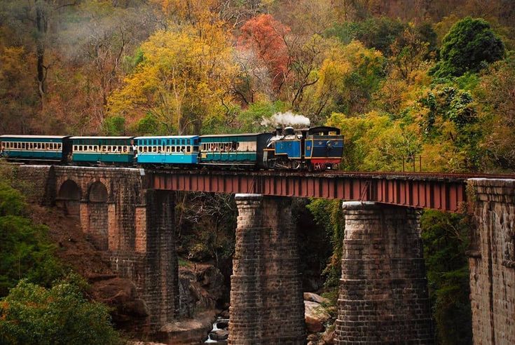 Ooty Travel Advisory 2025: Important Tips for a Safe & Scenic Hill Station Trip