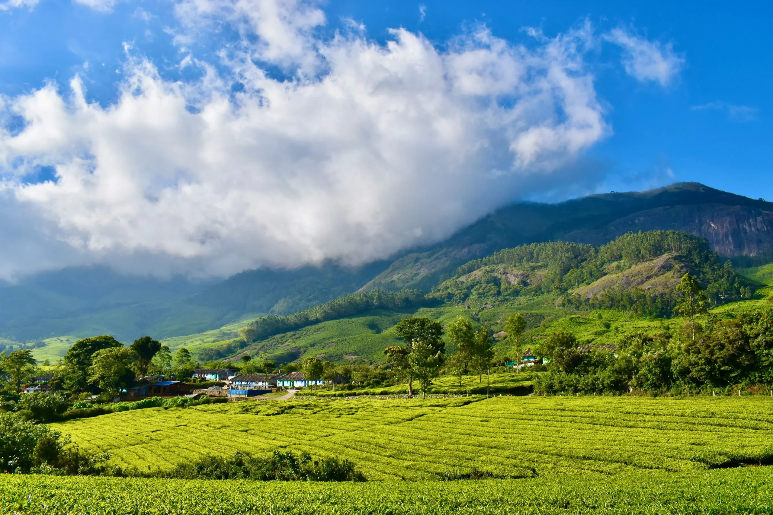 Exploring Coimbatore’s Festivals: A Traveler’s Guide to Cultural Immersion