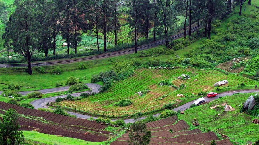 Exploring Ooty: The Queen of Hill Stations