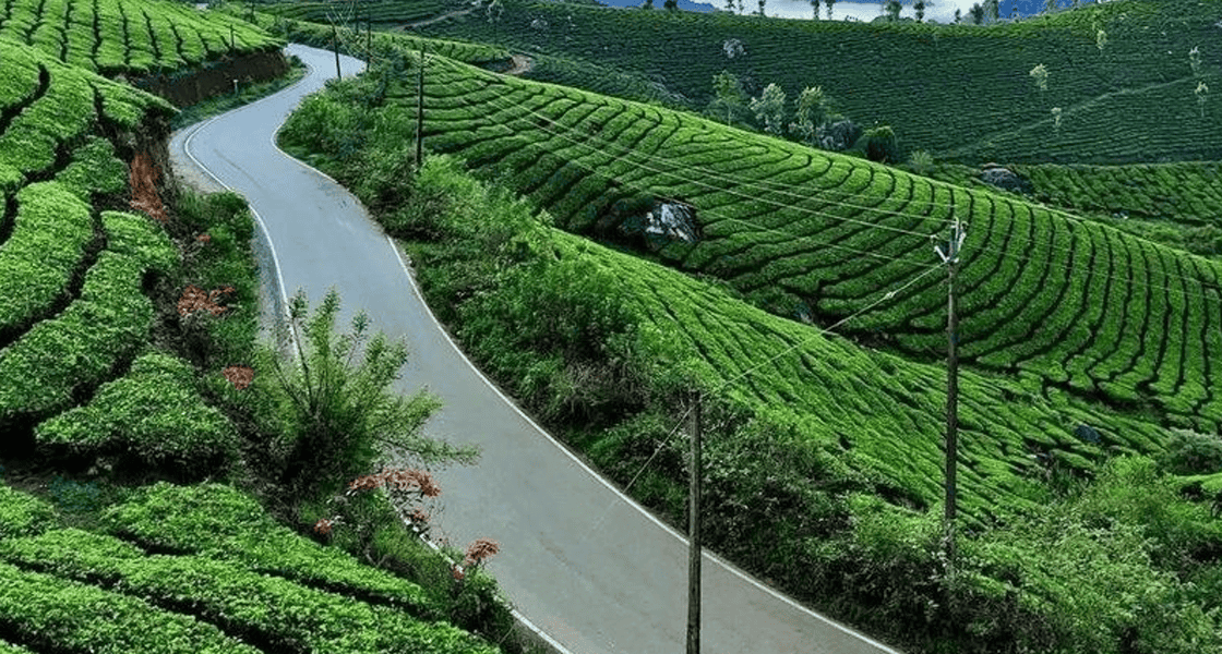 Uncover Coimbatore’s Gems with Smart Holiday Travels